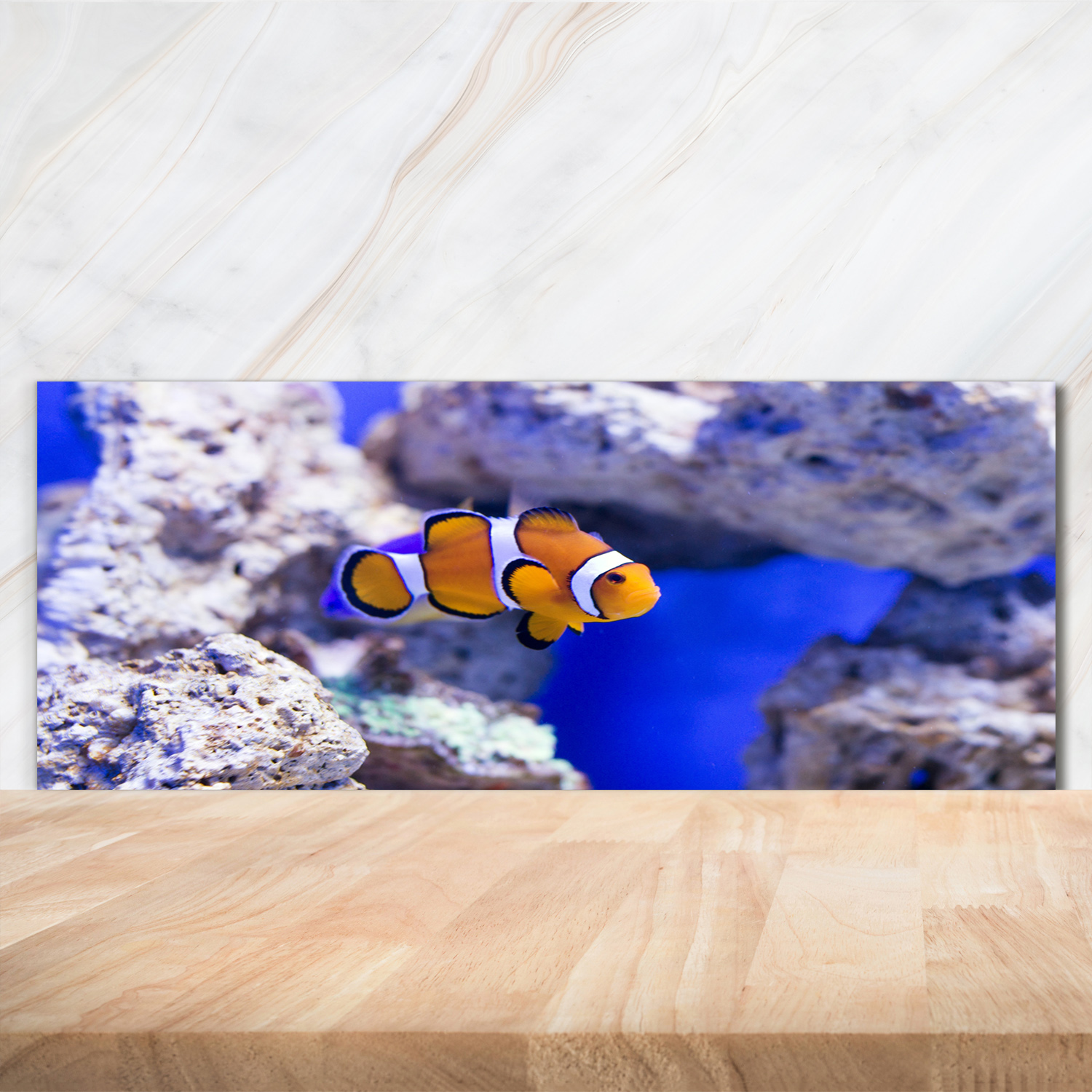 Küchenrückwand Spritzschutz aus Glas 125x50 Deko Tiere Clownfisch