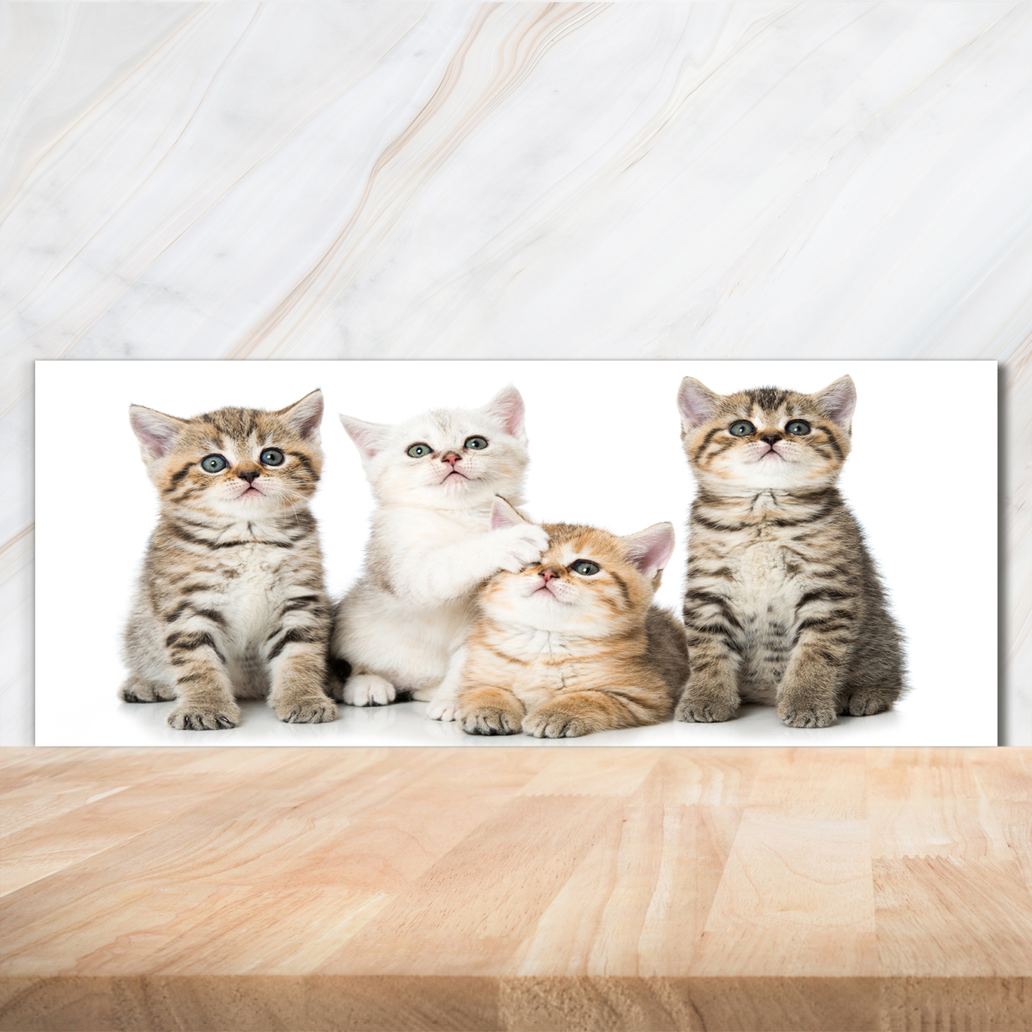 Küchenrückwand Spritzschutz aus Glas 125x50 Deko Tiere Kleine Katzen