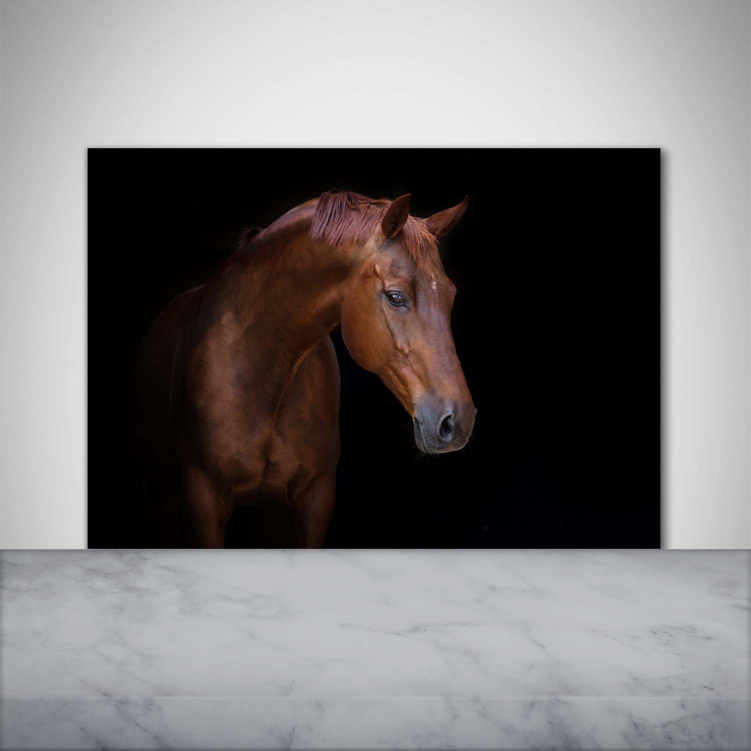 Küchenrückwand Spritzschutz aus Glas 100x70 Deko Tiere Braunes Pferd