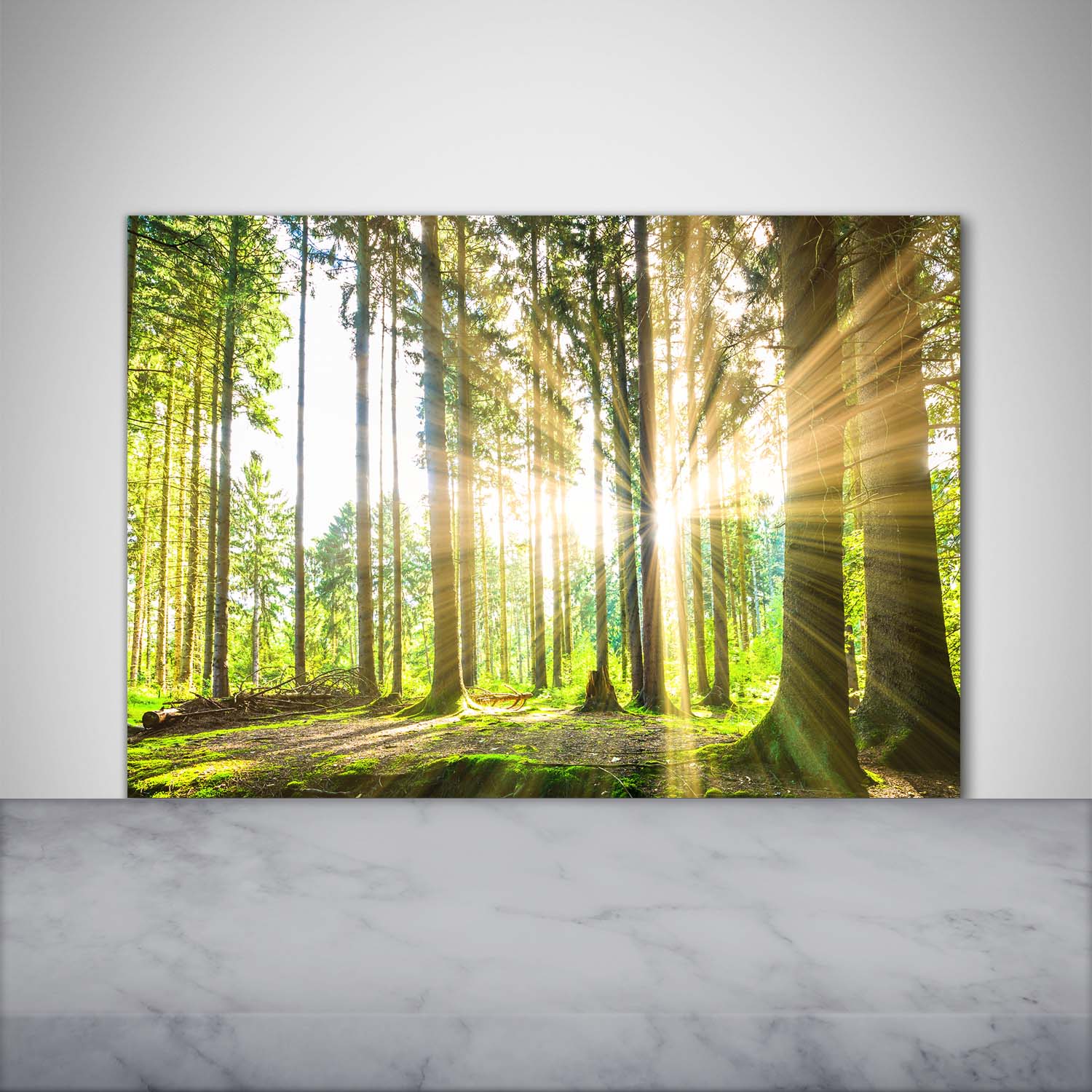 Küchenrückwand Spritzschutz aus Glas 100x70 Deko Landschaften Wald Sonne