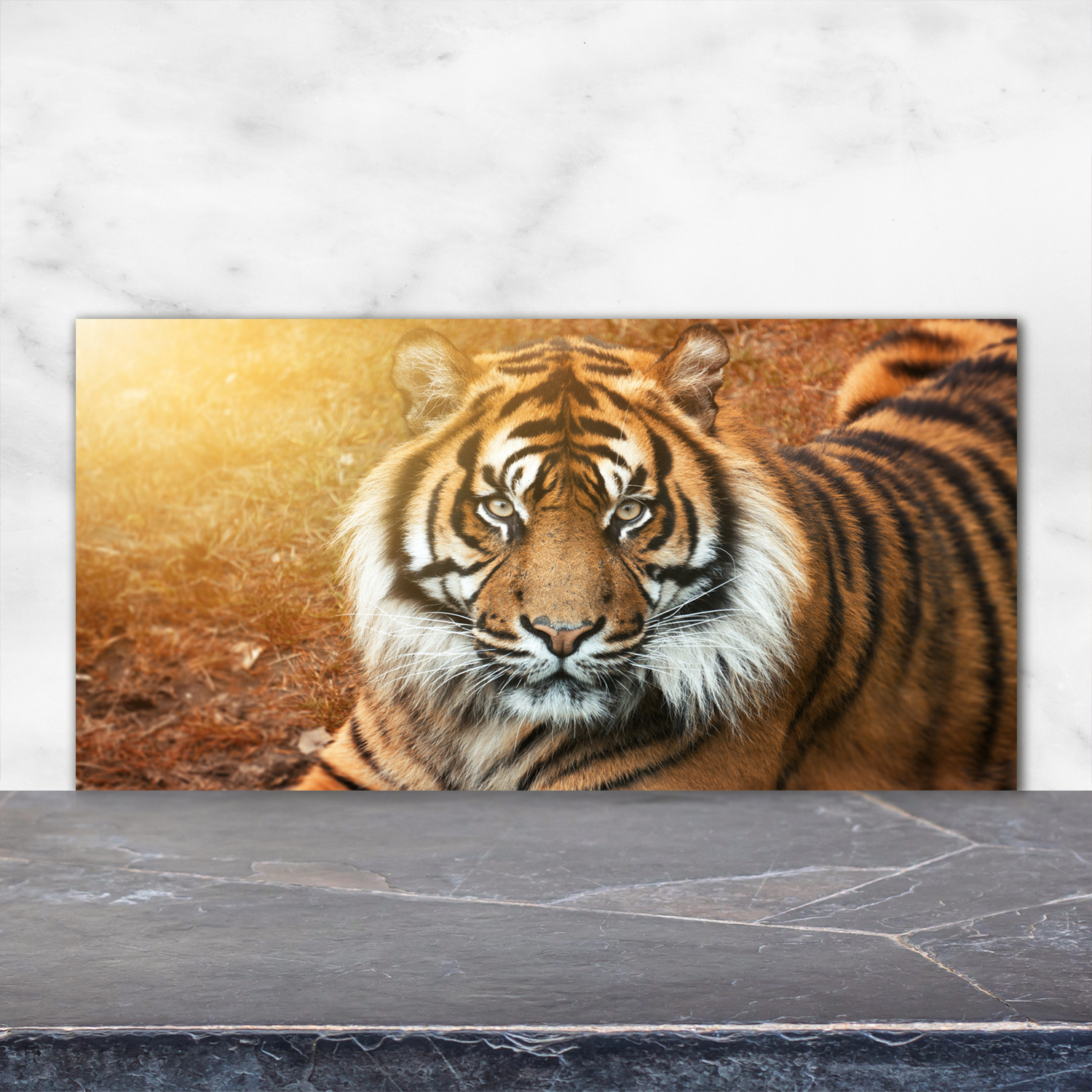 Küchenrückwand Spritzschutz aus Glas 120x60 Deko Tiere Bengalischer Tiger