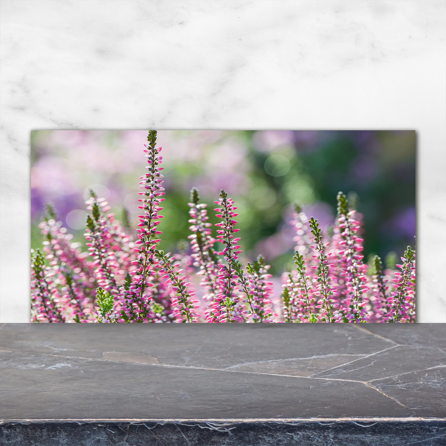 Küchenrückwand Spritzschutz aus Glas 120x60 Deko Blumen & Pflanzen Besenheide