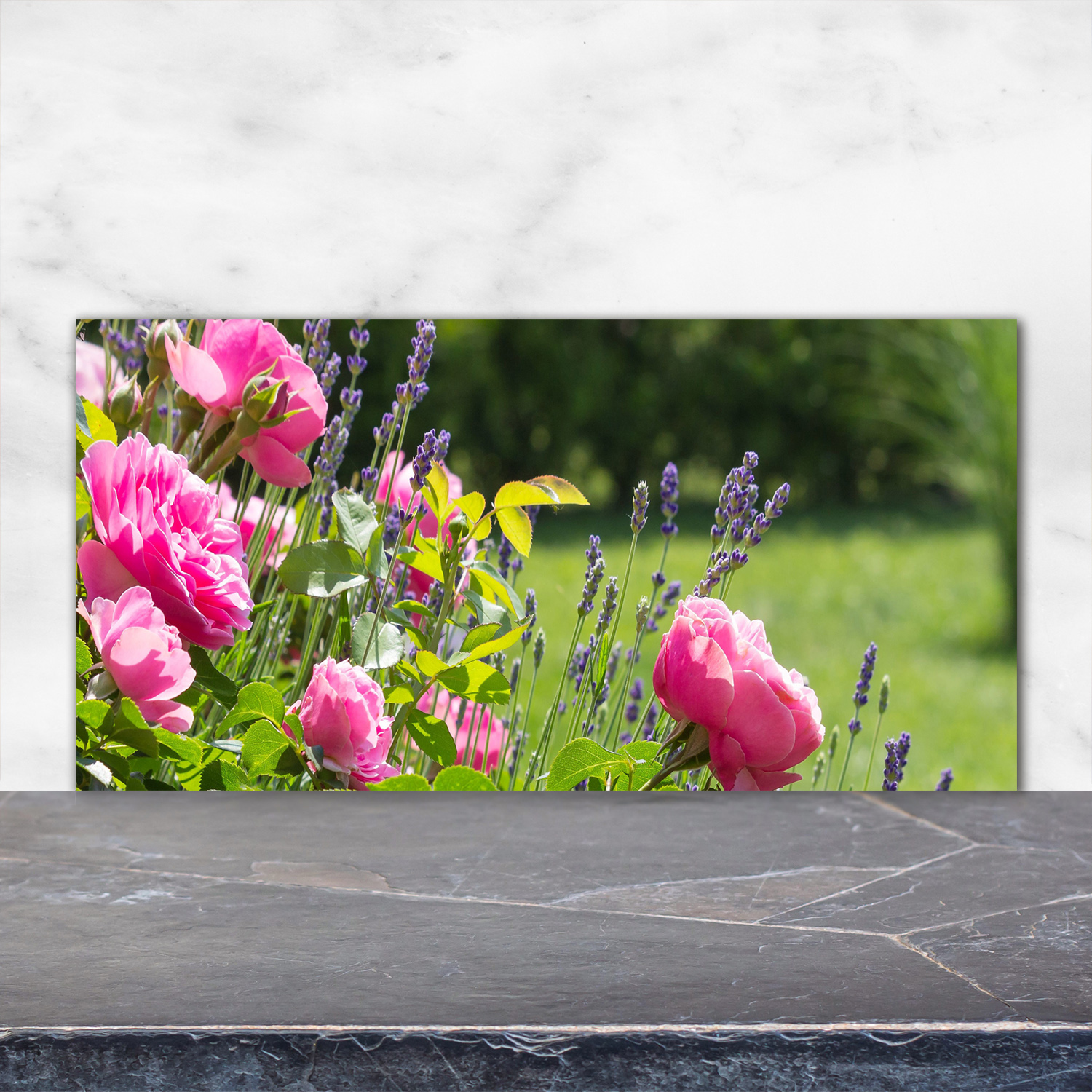 Küchenrückwand aus Glas 100x50cm ESG Spritzschutz Rose Pflanzen 