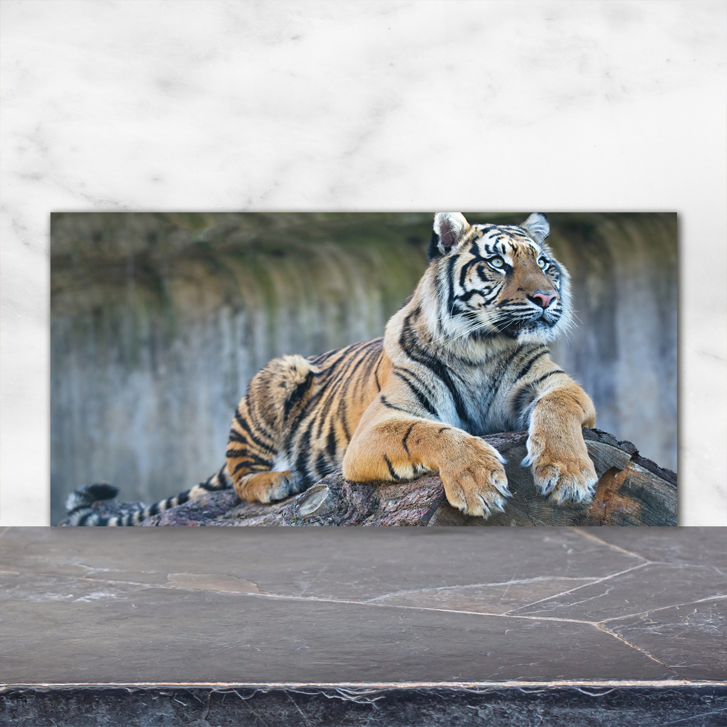 Küchenrückwand Spritzschutz aus Glas 120x60 Deko Tiere Tiger