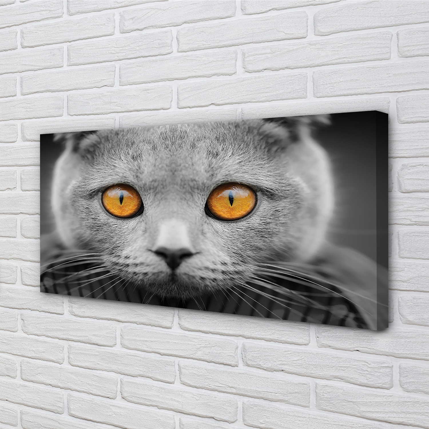 Tulup Leinwandbild 100x50 Wandkunst Graue britische Katze
