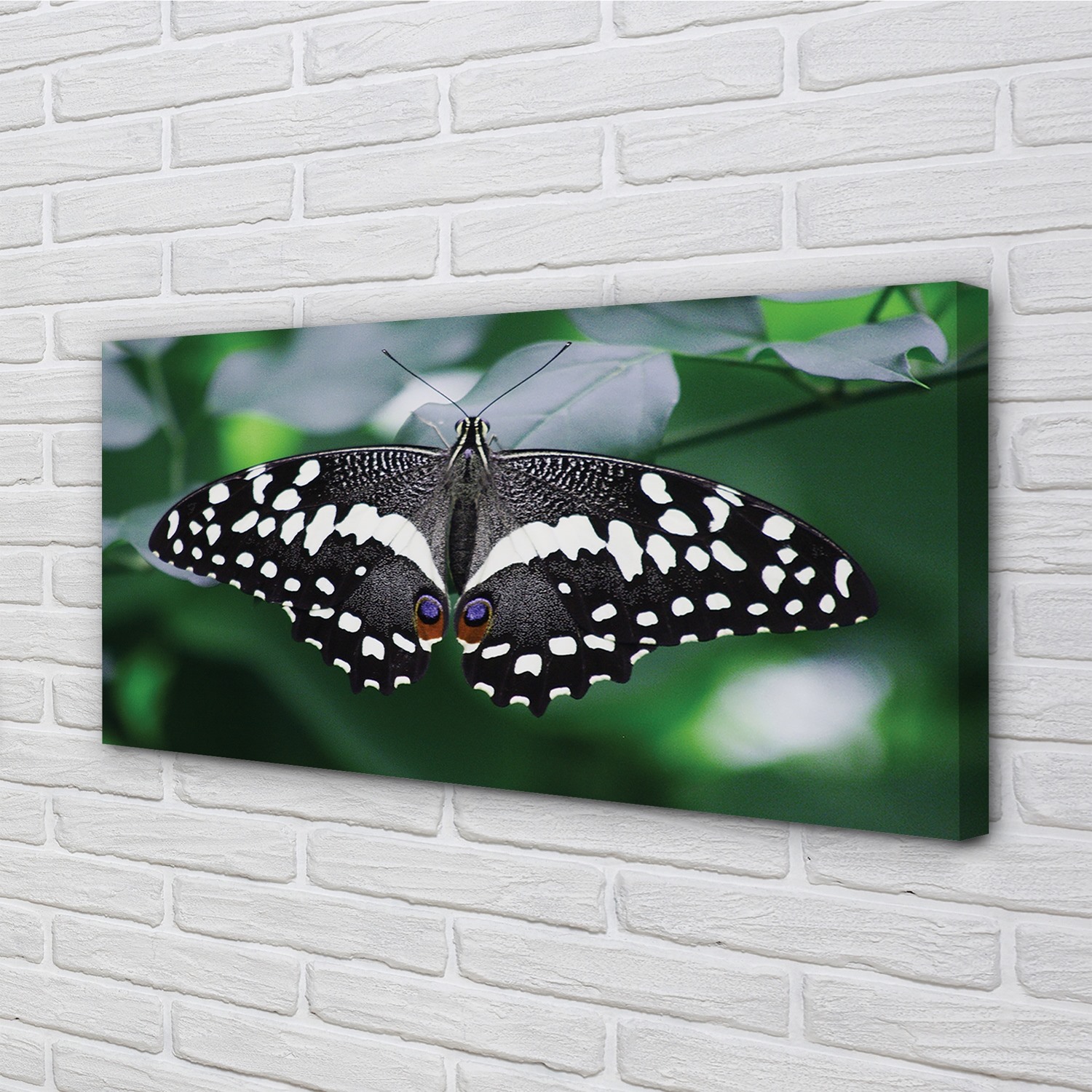 Tulup Leinwandbild 140x70 Wandkunst Bunte Schmetterlinge Blätter