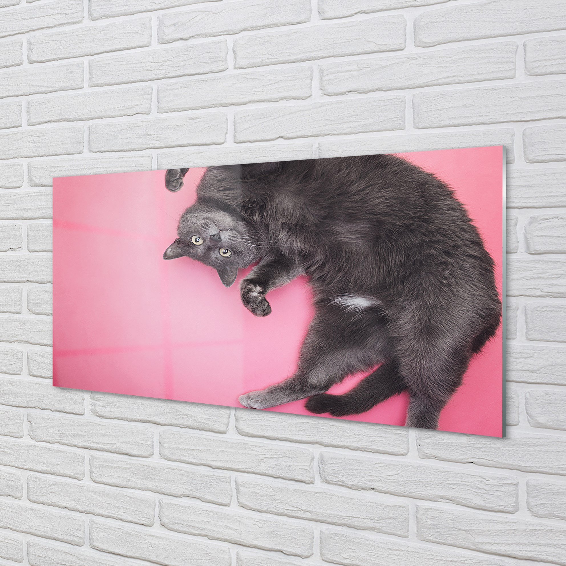 Tulup Acrylglas 120x60 Wandkunst liegend Katze