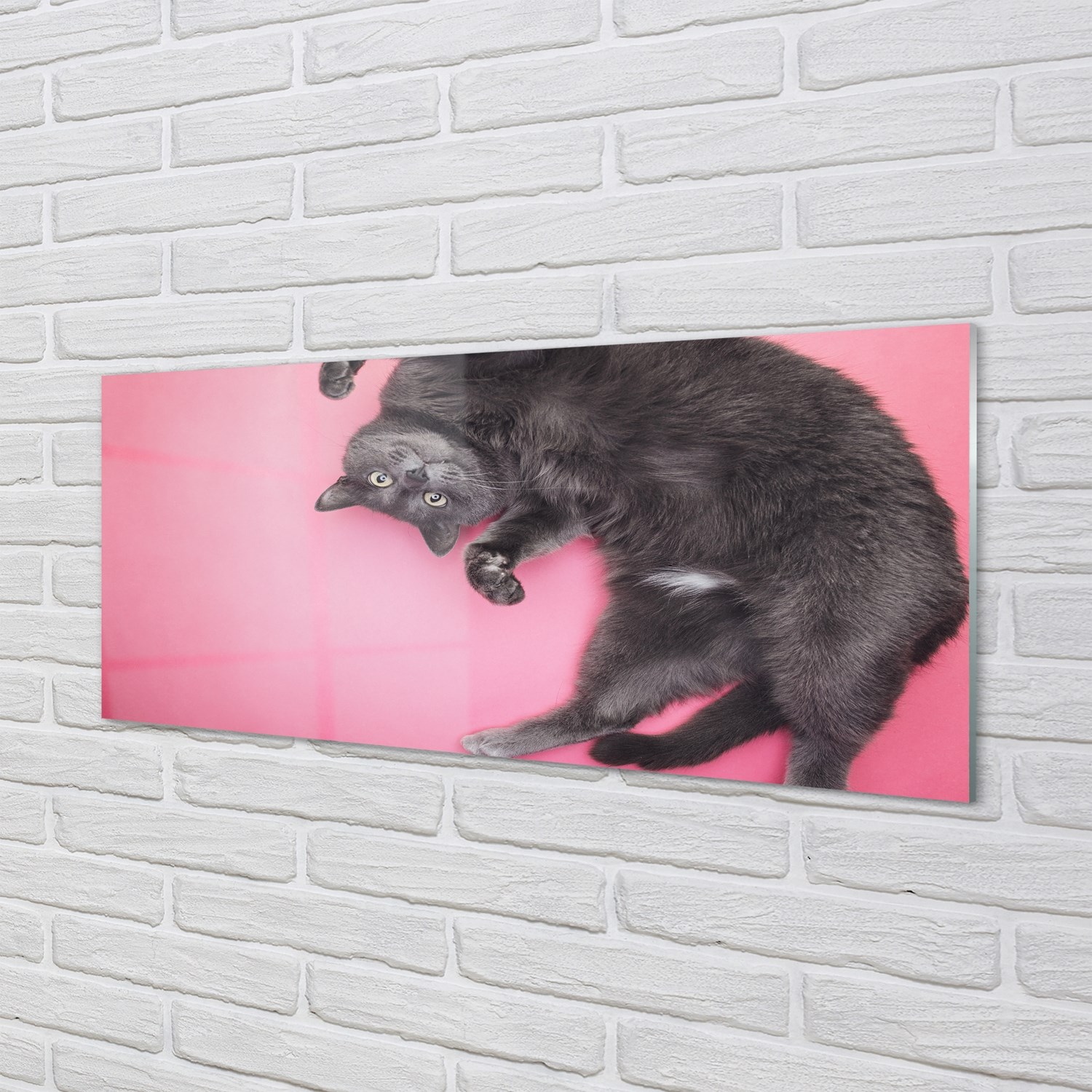 Tulup Acrylglas 125x50 Wandkunst liegend Katze