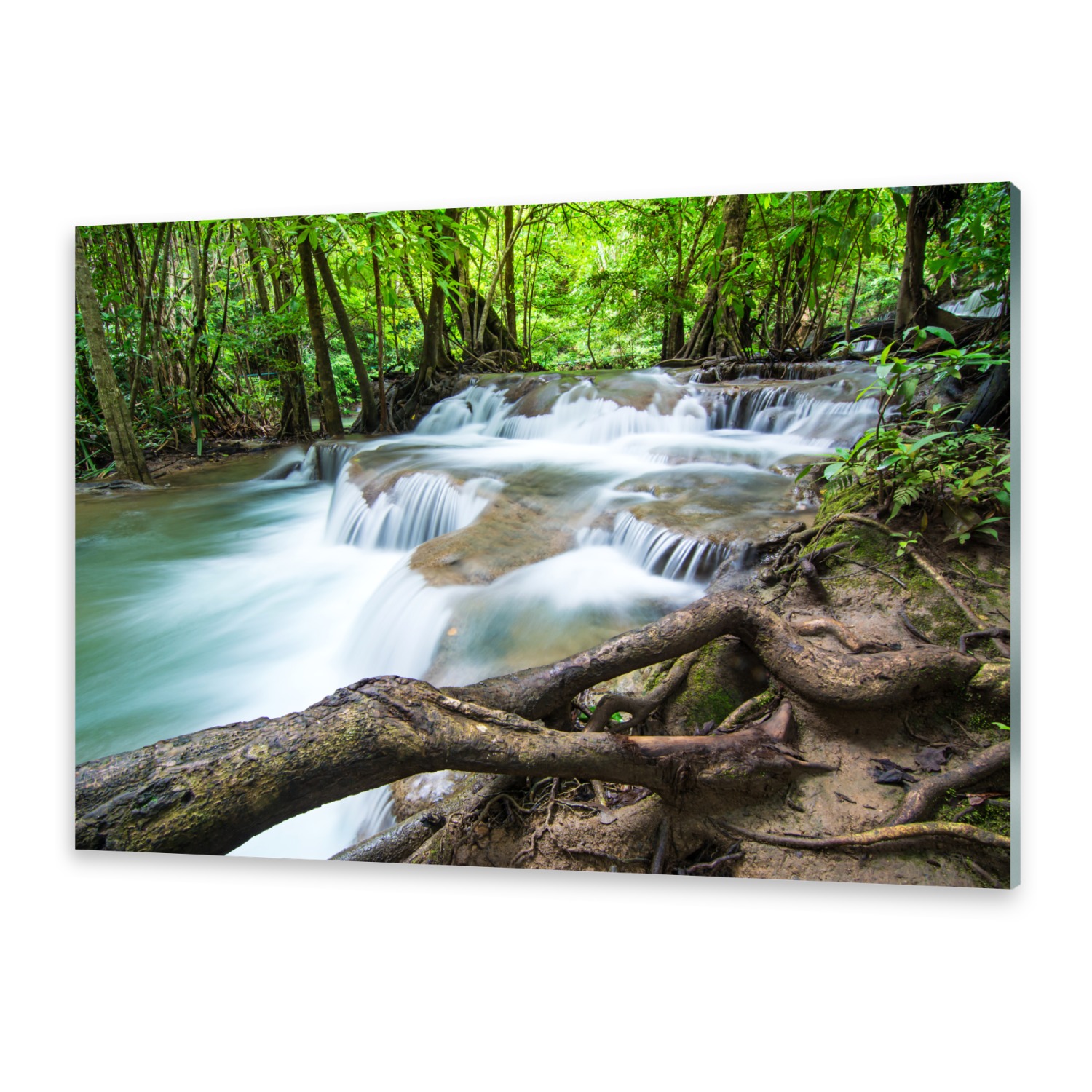 Wandbilder Glasbilder Druck auf Glas 125x50 Wald Natur