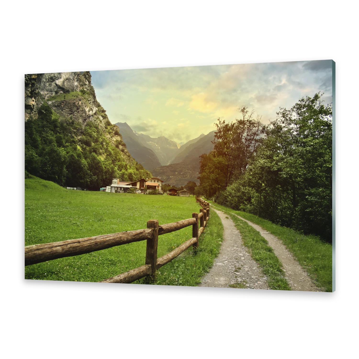 Acrylglasbilder Wandbilder Druck 125x50 Wiese Natur
