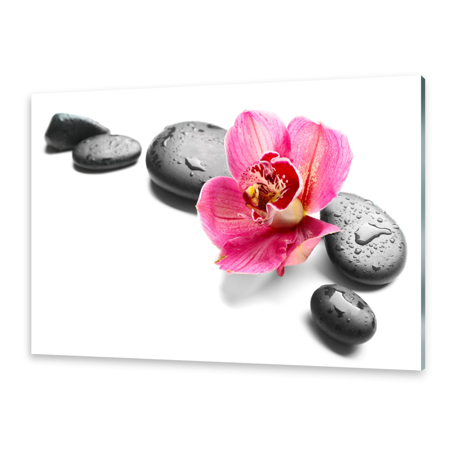 Acrylglasbilder Wandbild aus Plexiglas® Bild Orchidee