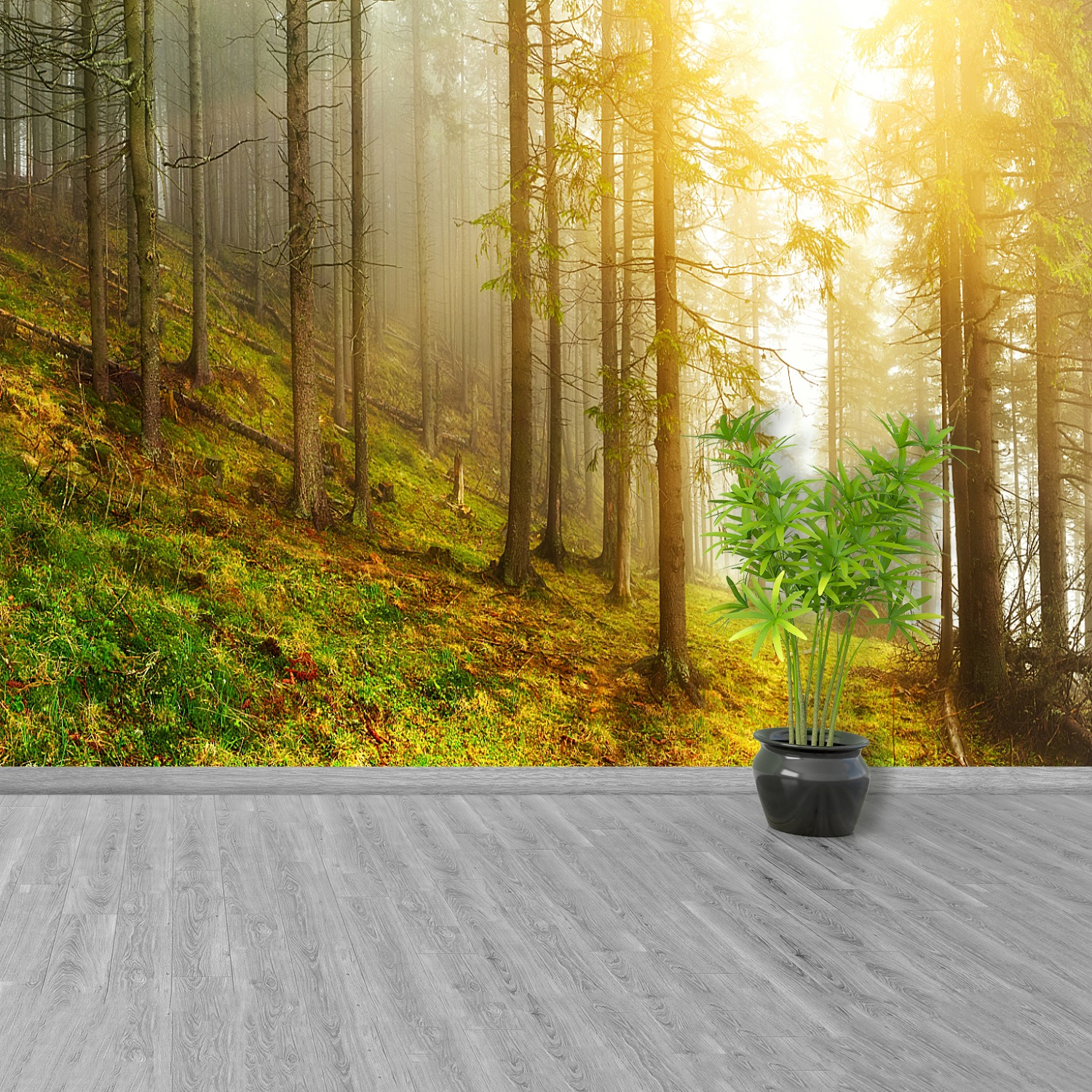 Photo wallpaper Wall mural Removable Self-adhesive Forest | eBay